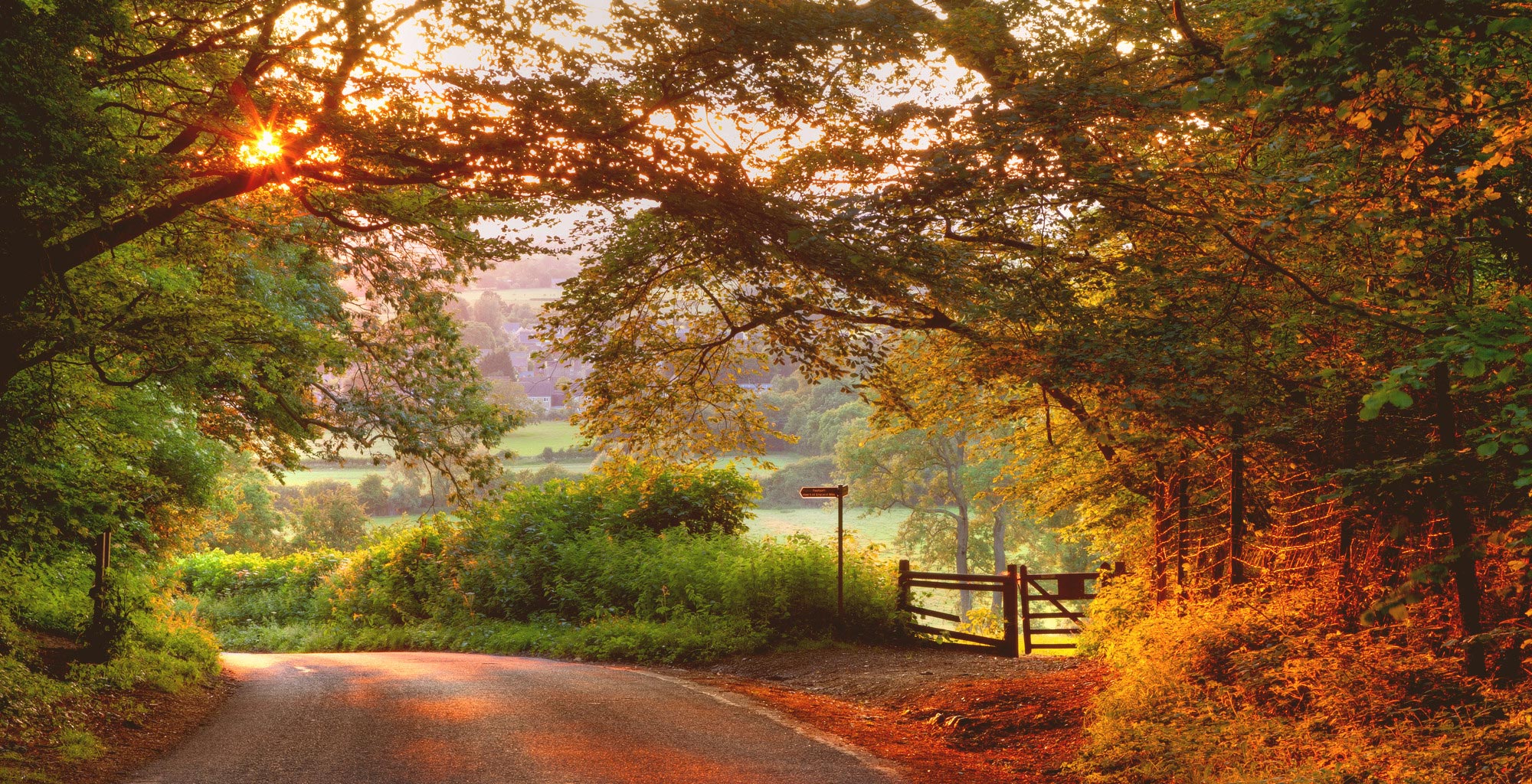 Cotswold Country Lane, Sunset, Cotswold