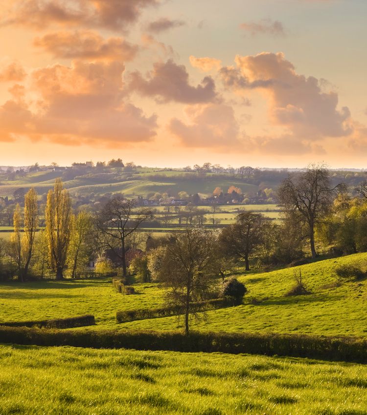 Warwickshire Property Finders, Garrington